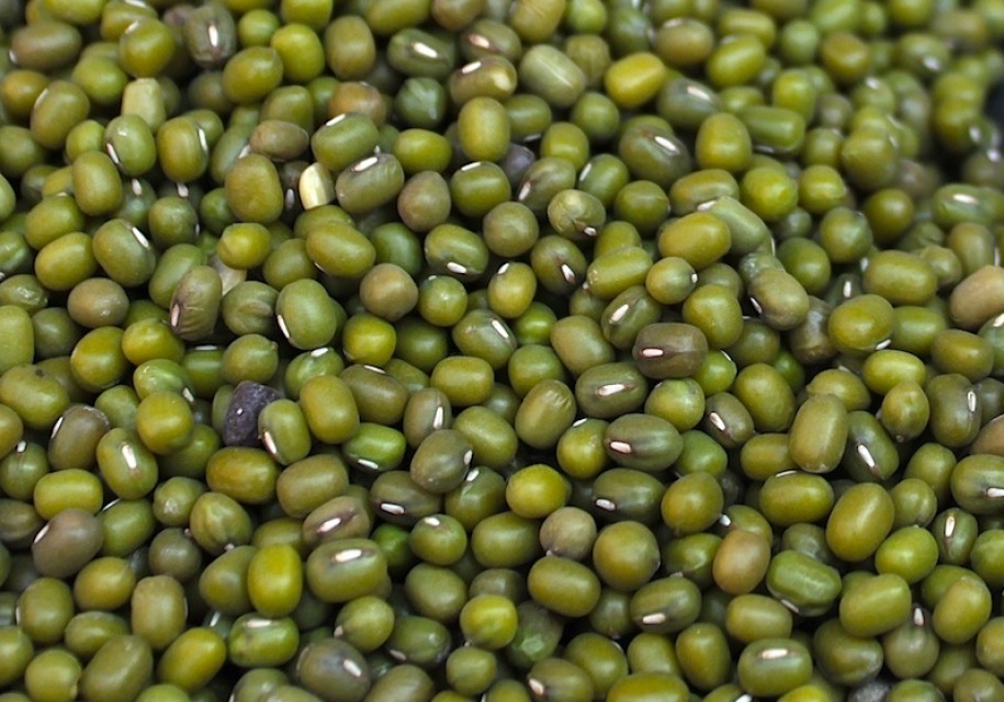 200 Green Mung Beans, Vigna radiata, USDA Organic